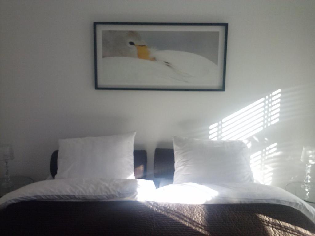 B&B Byboukje Earnewâld Room photo